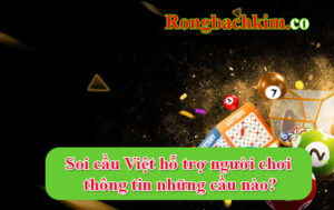 Kênh soi cầu Việt hỗ trợ người chơi thông tin những cầu nào